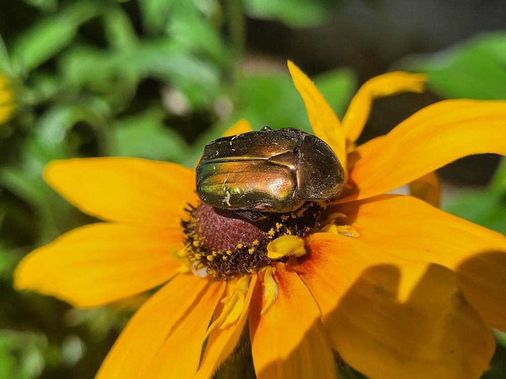 Photograph by Catherine Walter-Prêtre