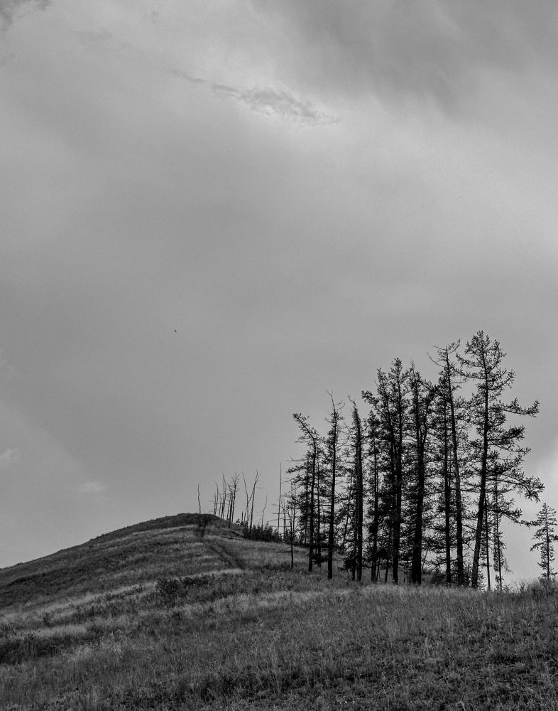 Photograph by Лилия Билалова