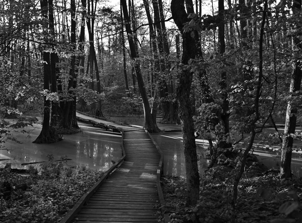 Photograph by Антонина Ахмадеева