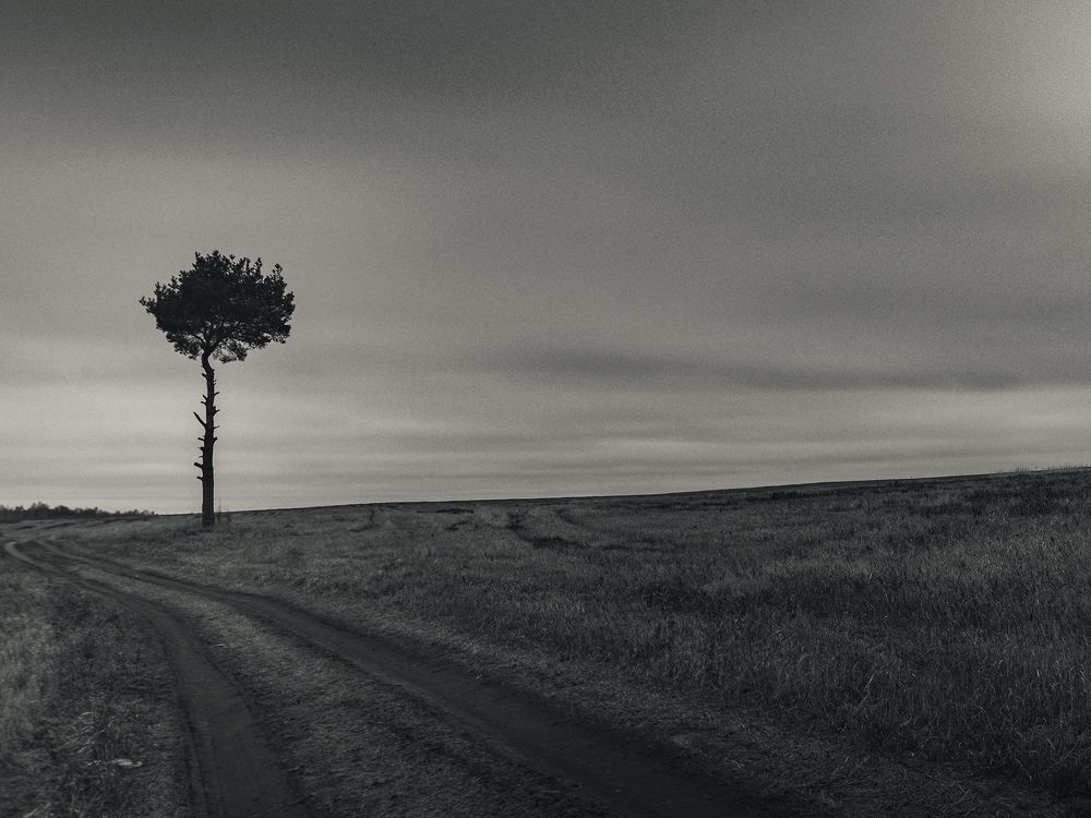 Photograph by Aliaksei Shandalin