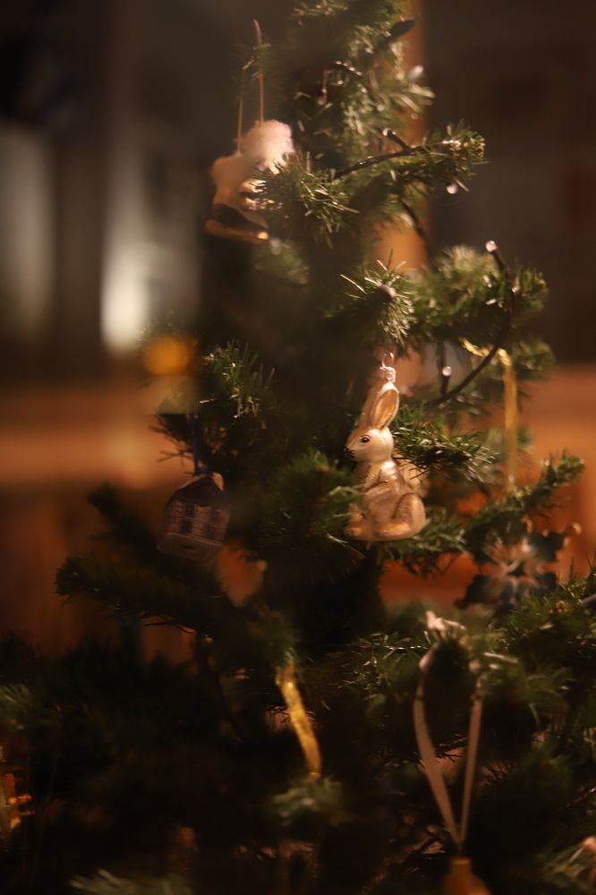 Photograph by Julia Smilovitsky