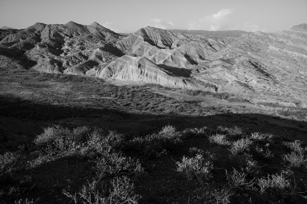 Photograph by Светлана Воробьёва