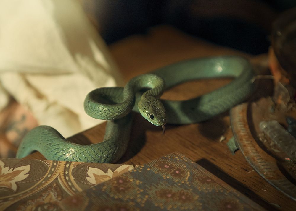 Photograph by Ольга Лобачёва