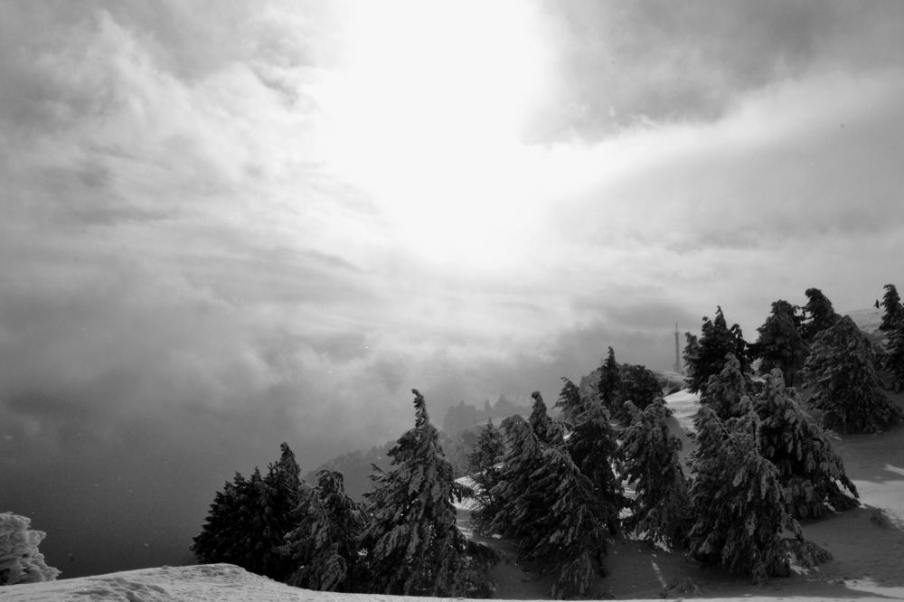 Photograph by Юлия Шишкина (Julia Madera)