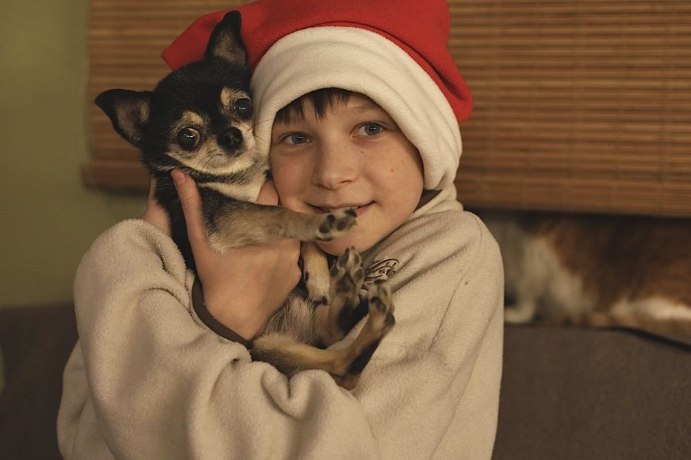 Фотография автора Алина Павлова