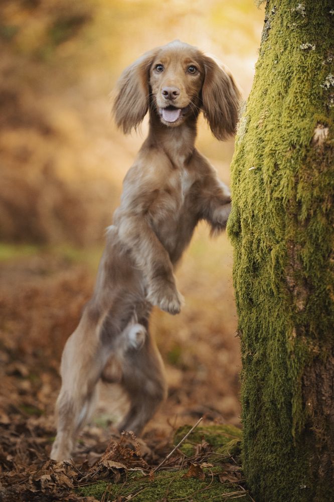 Photograph by Noa Táboas