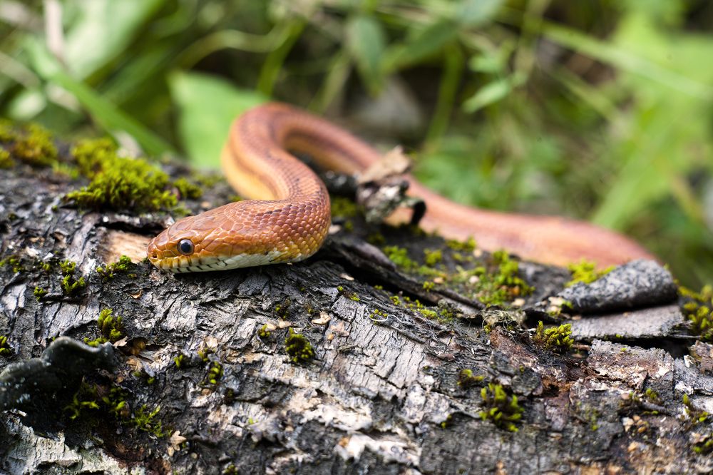 Photograph by Панюшкин Андрей