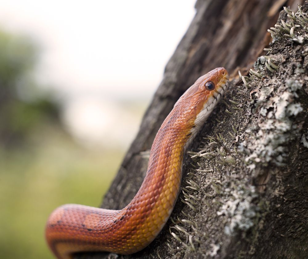 Photograph by Панюшкин Андрей