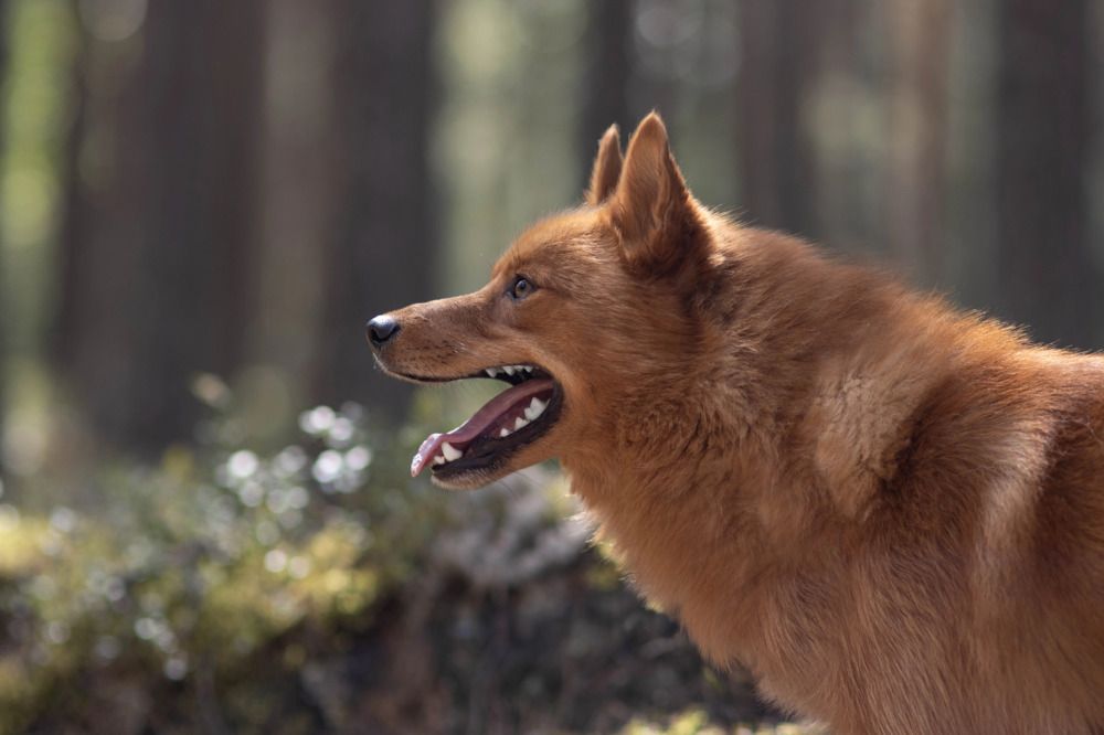 Photograph by Дарья Чистякова