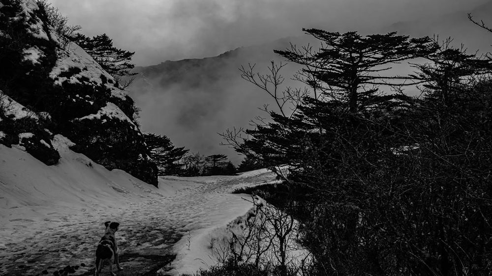 Photograph by Susobhan Biswas