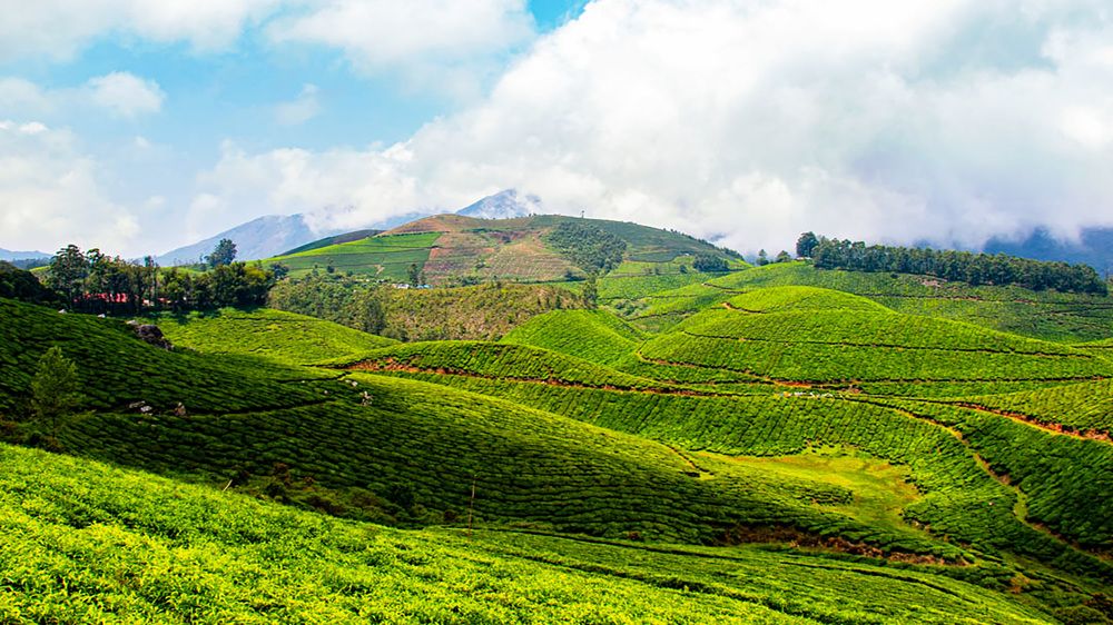 Photograph by Susobhan Biswas