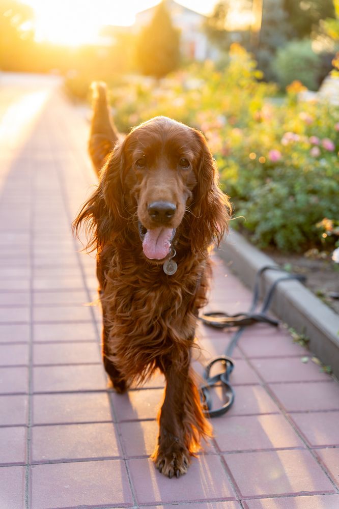 Photograph by Наталья Коржова