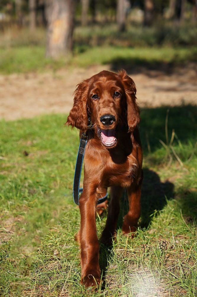 Photograph by Наталья Коржова