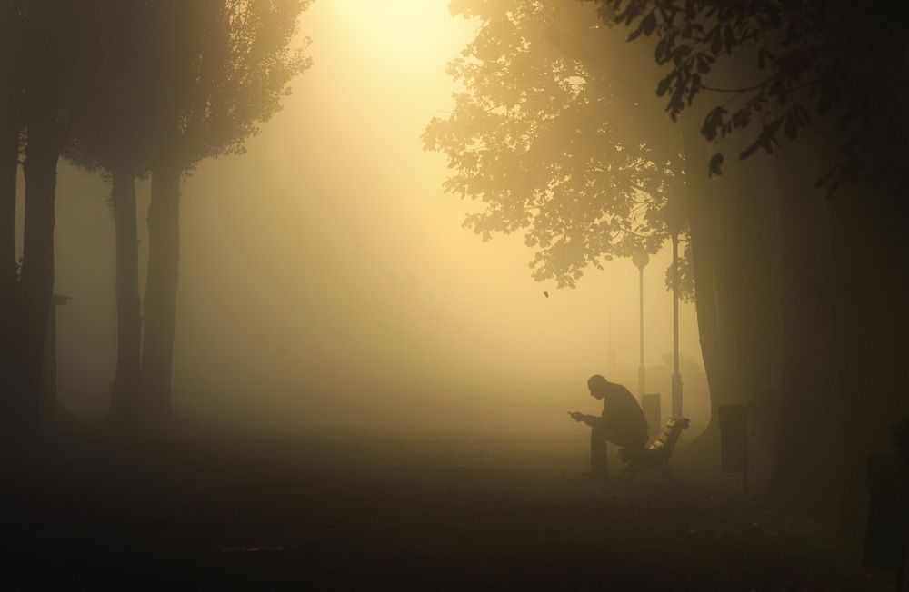 Photograph by Шляга Сергей