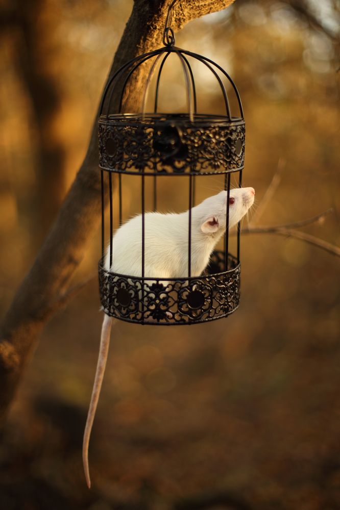 Photograph by Алексей Шевцов