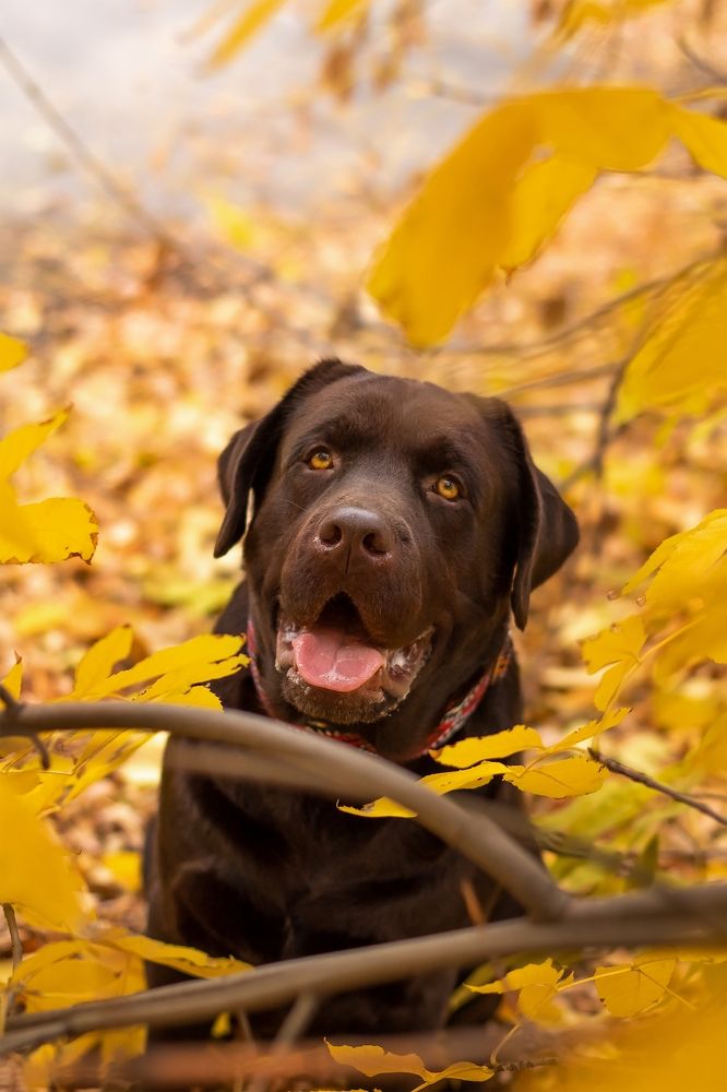 Photograph by Наталья Коржова