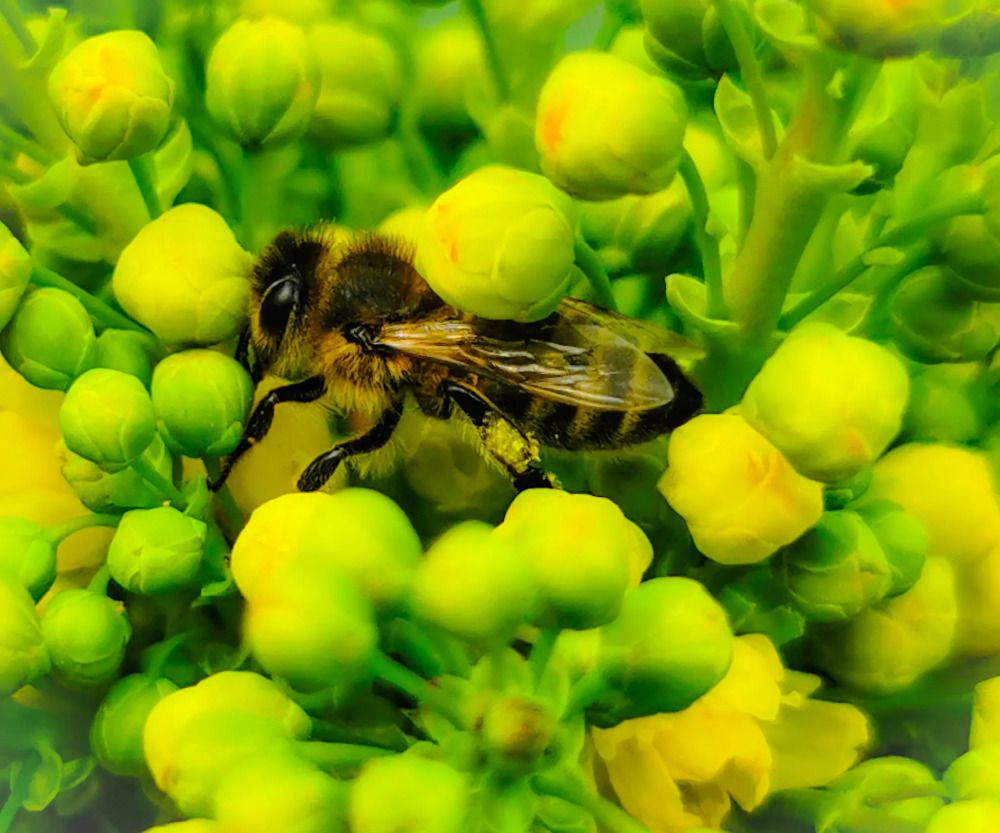 Photograph by Nikolett Mengyi