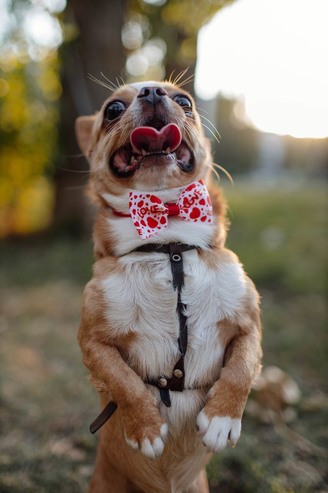 Photograph by Ксения Чикина