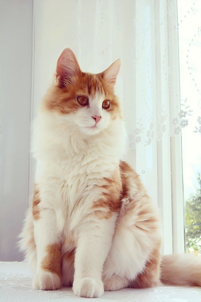 Photograph by София Бояринцева
