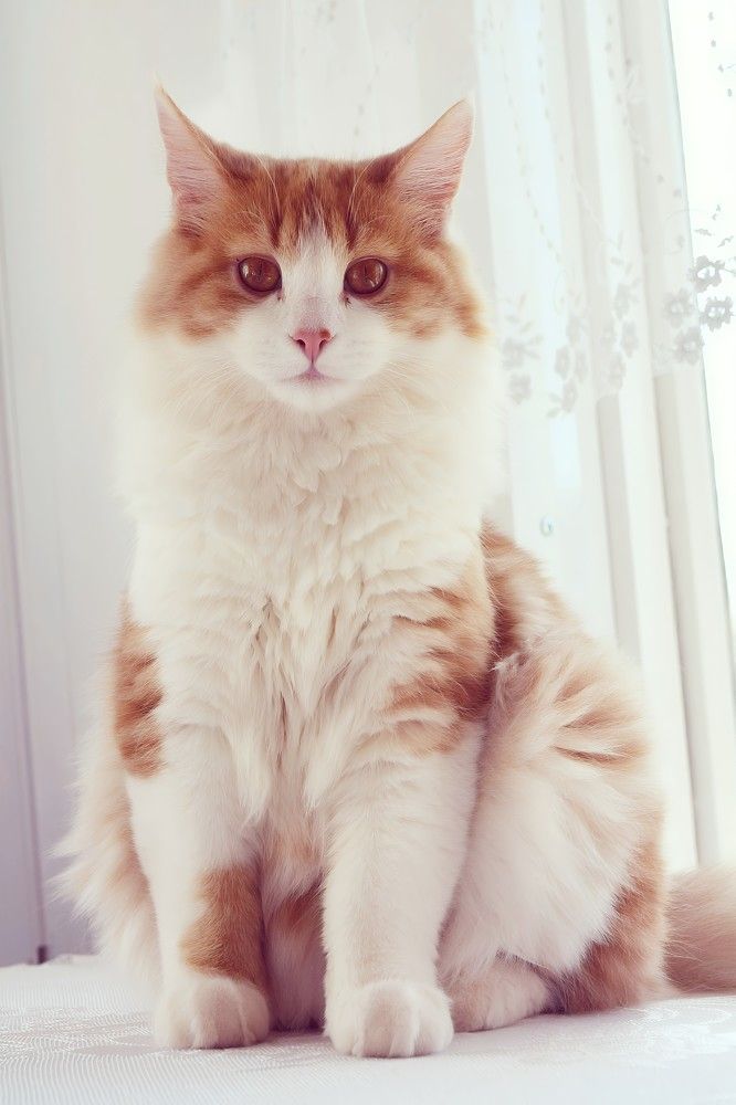Photograph by София Бояринцева