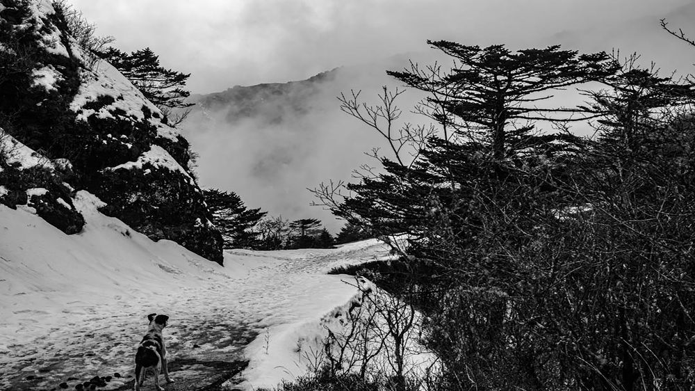 Photograph by Susobhan Biswas