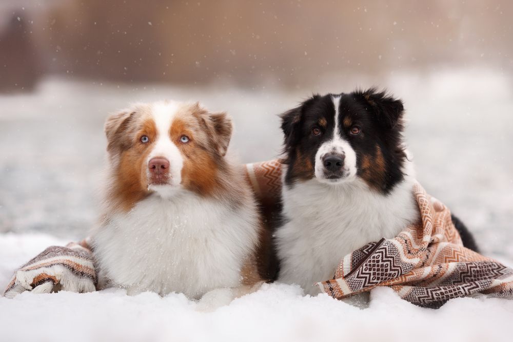 Photograph by Евгения Костусева