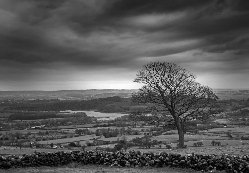 Photograph by Dace Spalvina