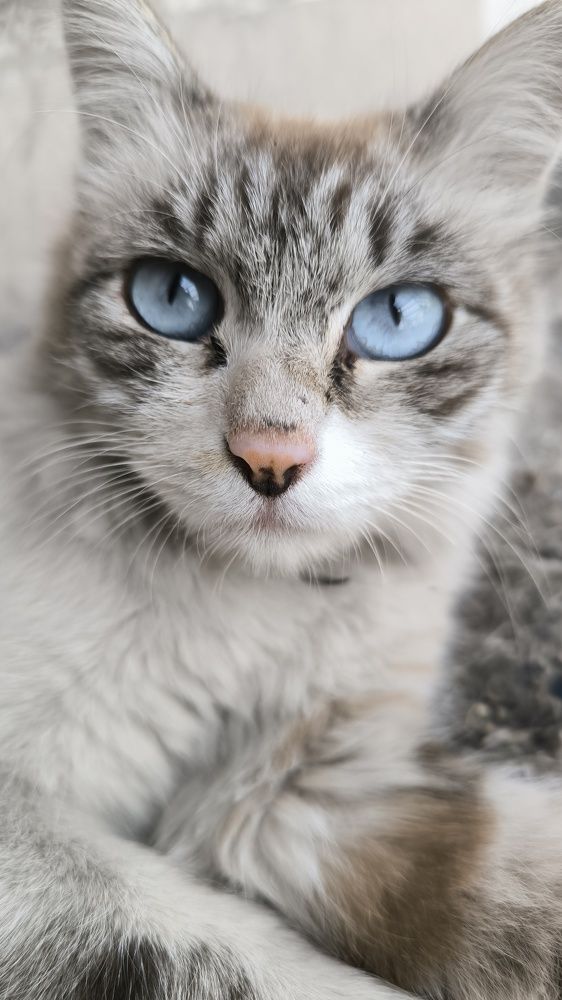 Photograph by Игорь Яснов