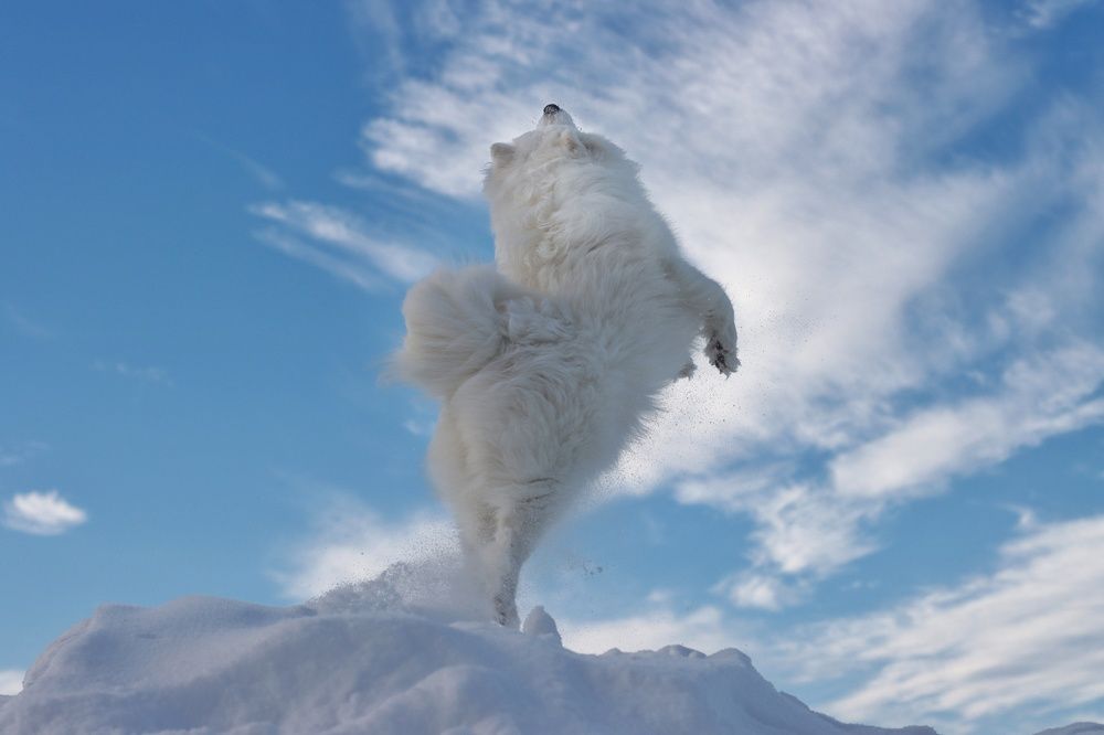 Photograph by Дарья Чистякова