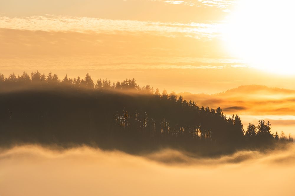 Po wschodzie słońca