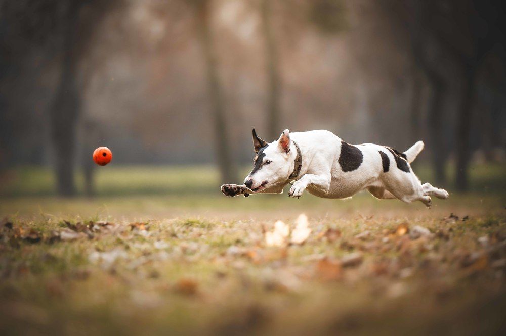 Photograph by Csenge