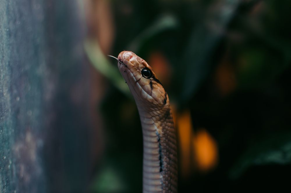 Photograph by Вадим Денисенко