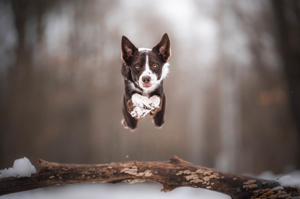 Photograph by Csenge