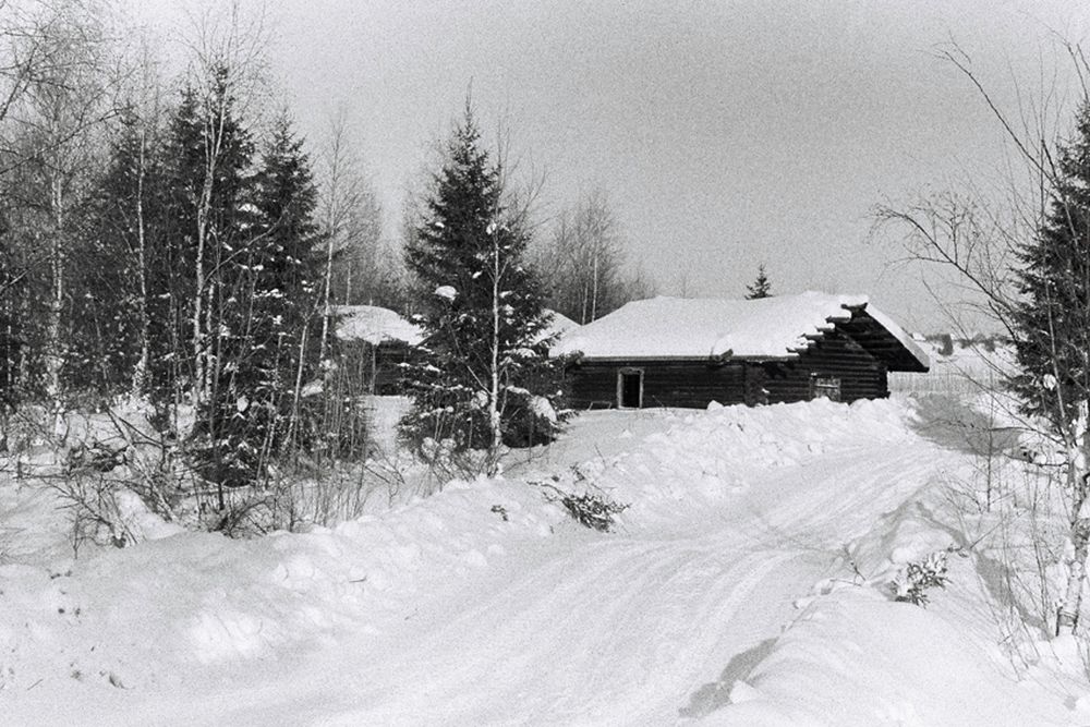 Photograph by Мария Самоловова