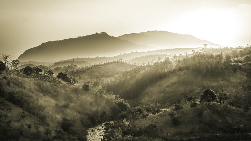 Photograph by Kenneth Vincent