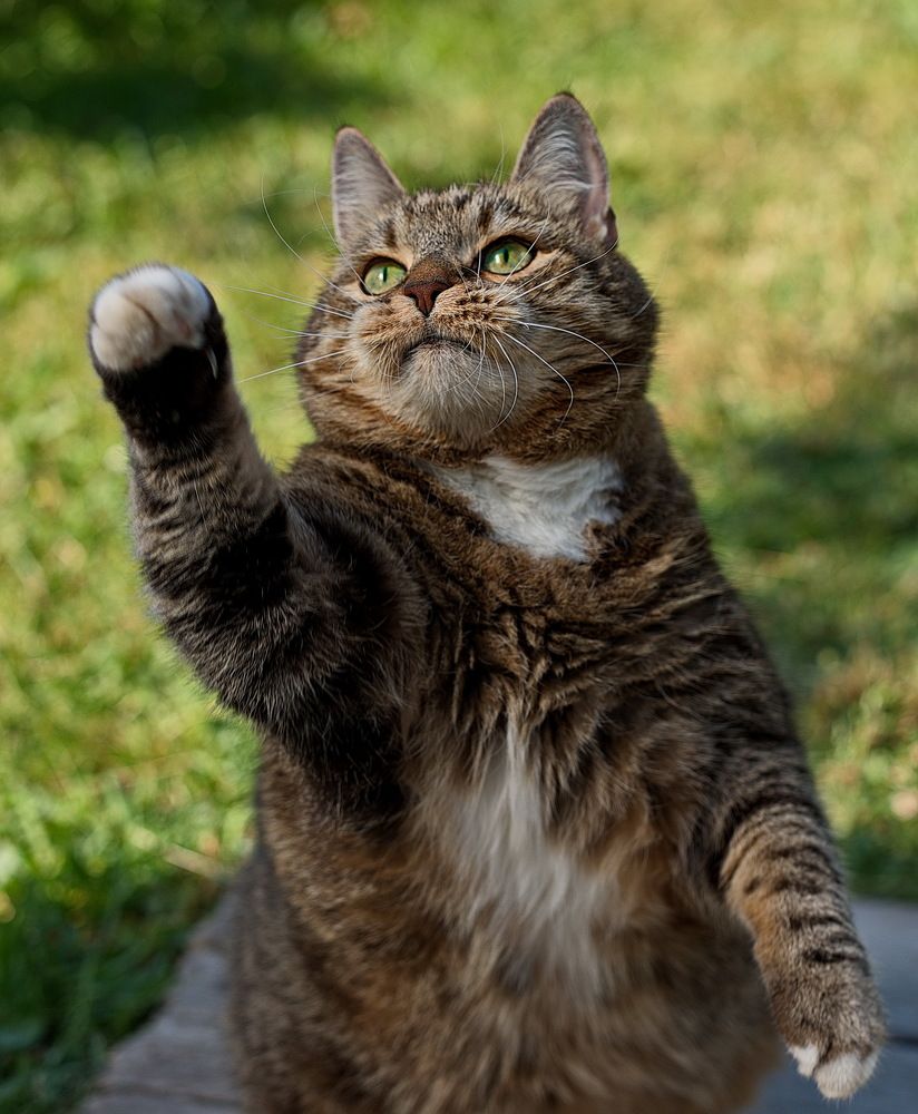 Photograph by Лидия Ушакова