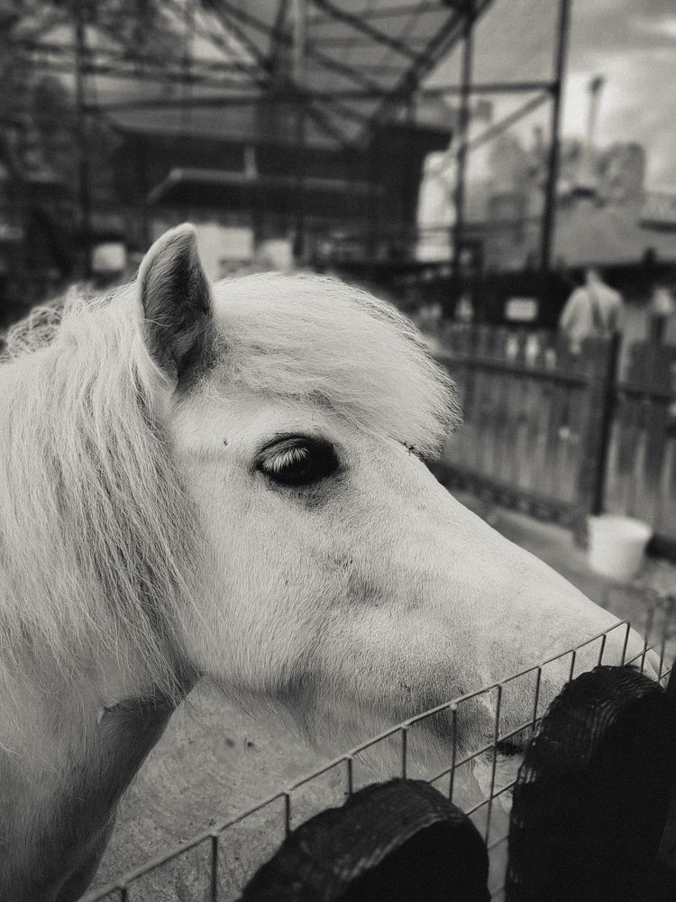 Photograph by Молчанова Ольга
