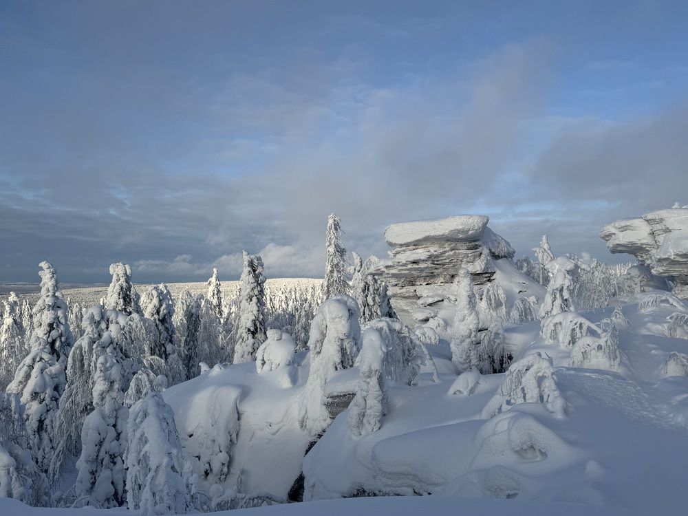 Photograph by Елена Карпухно