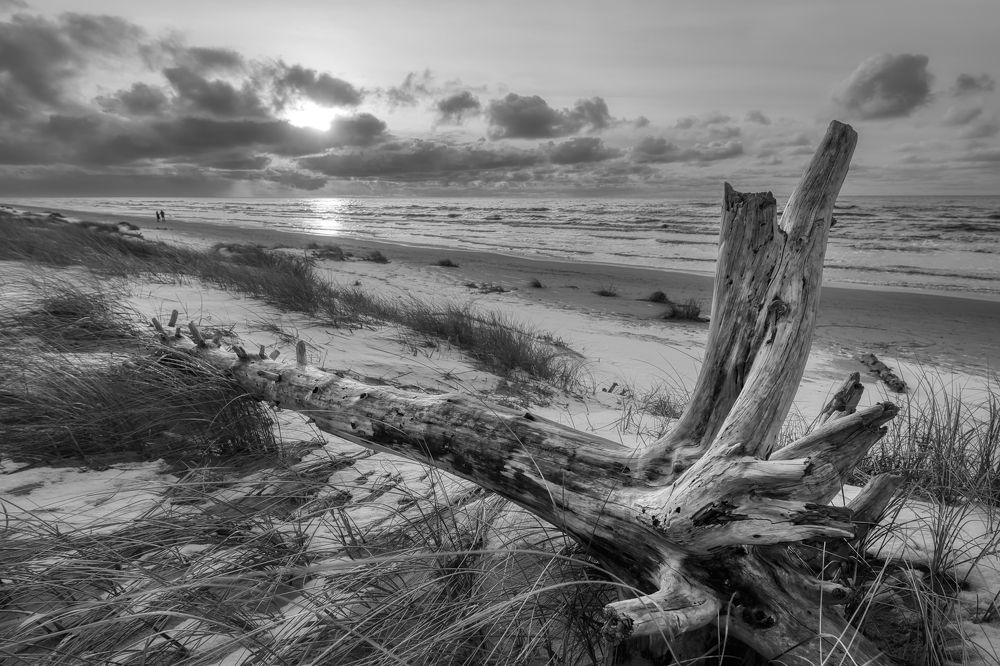 Photograph by Albina Kulikova