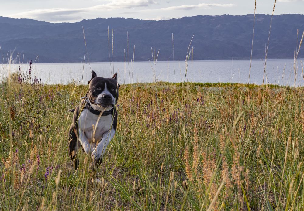 Фотография автора Андрей Жданов