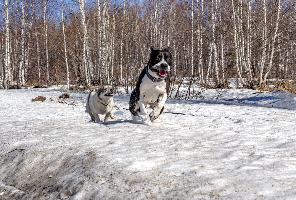Фотография автора Андрей Жданов