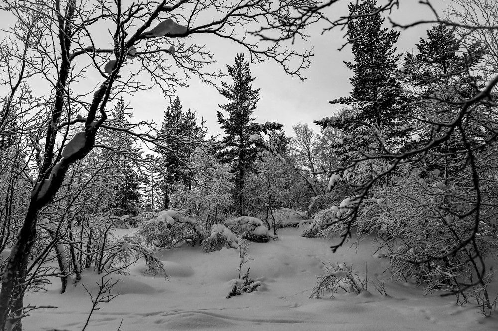 Photograph by Tanzilya Gabidullina