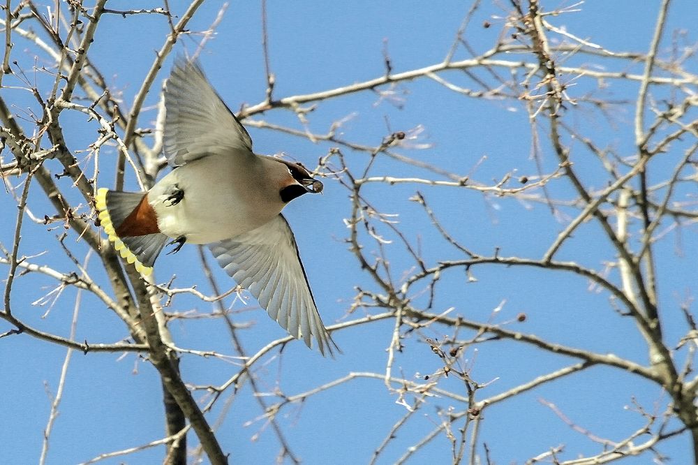 Летим - там столько вкусненького...