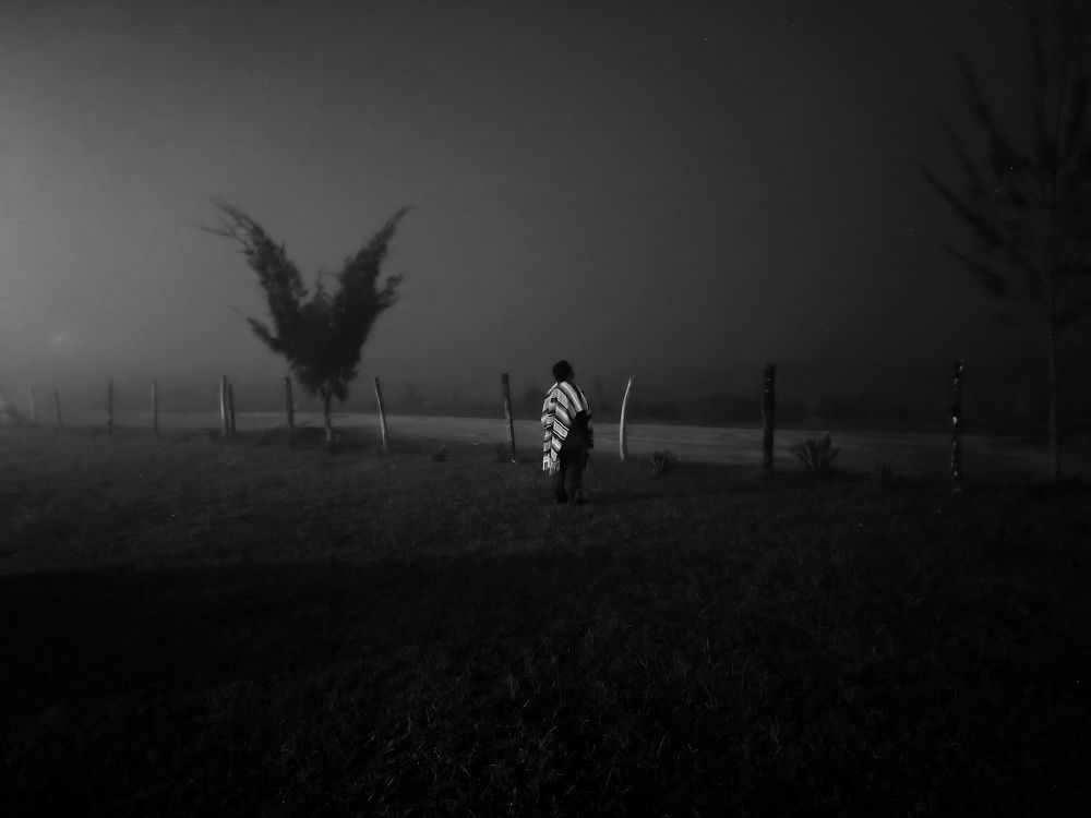 Photo #11601469