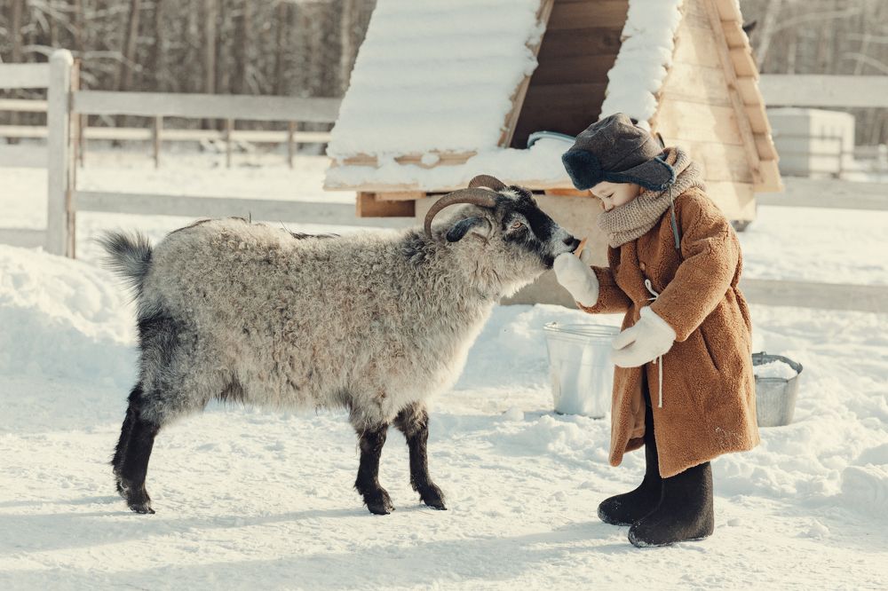 Photograph by Ященко Анастасия