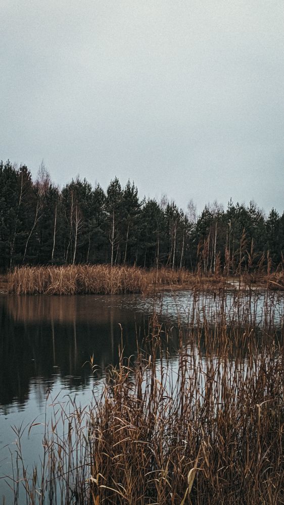 Фотография автора Vadim