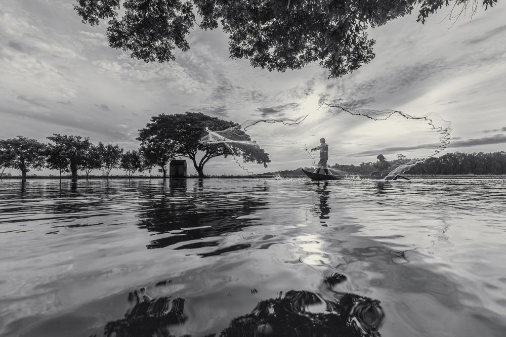 Фотография автора Andy Nguyen