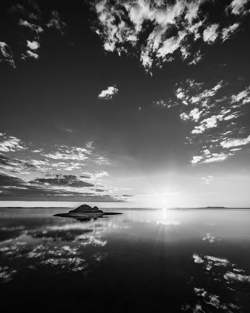 Photograph by Alaa Nour