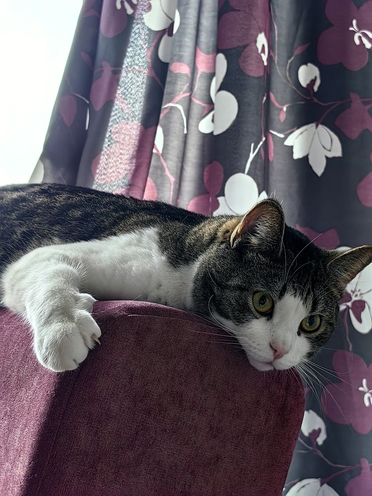 Фотография автора Наталия