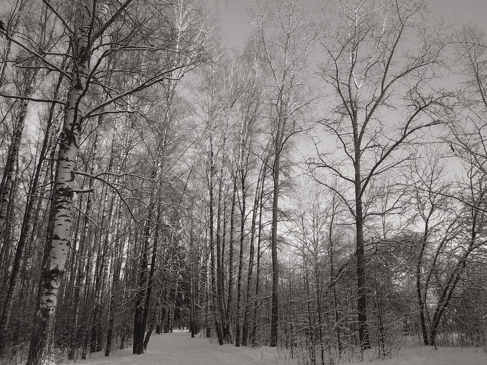 Photograph by Инна Голубева